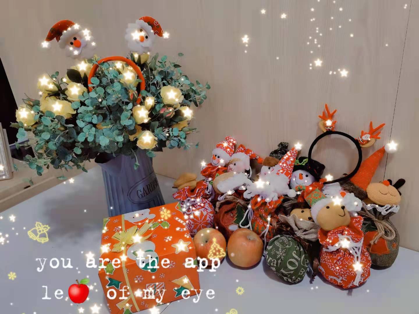 1608993596510994.jpg mmexport1608770352412.jpg