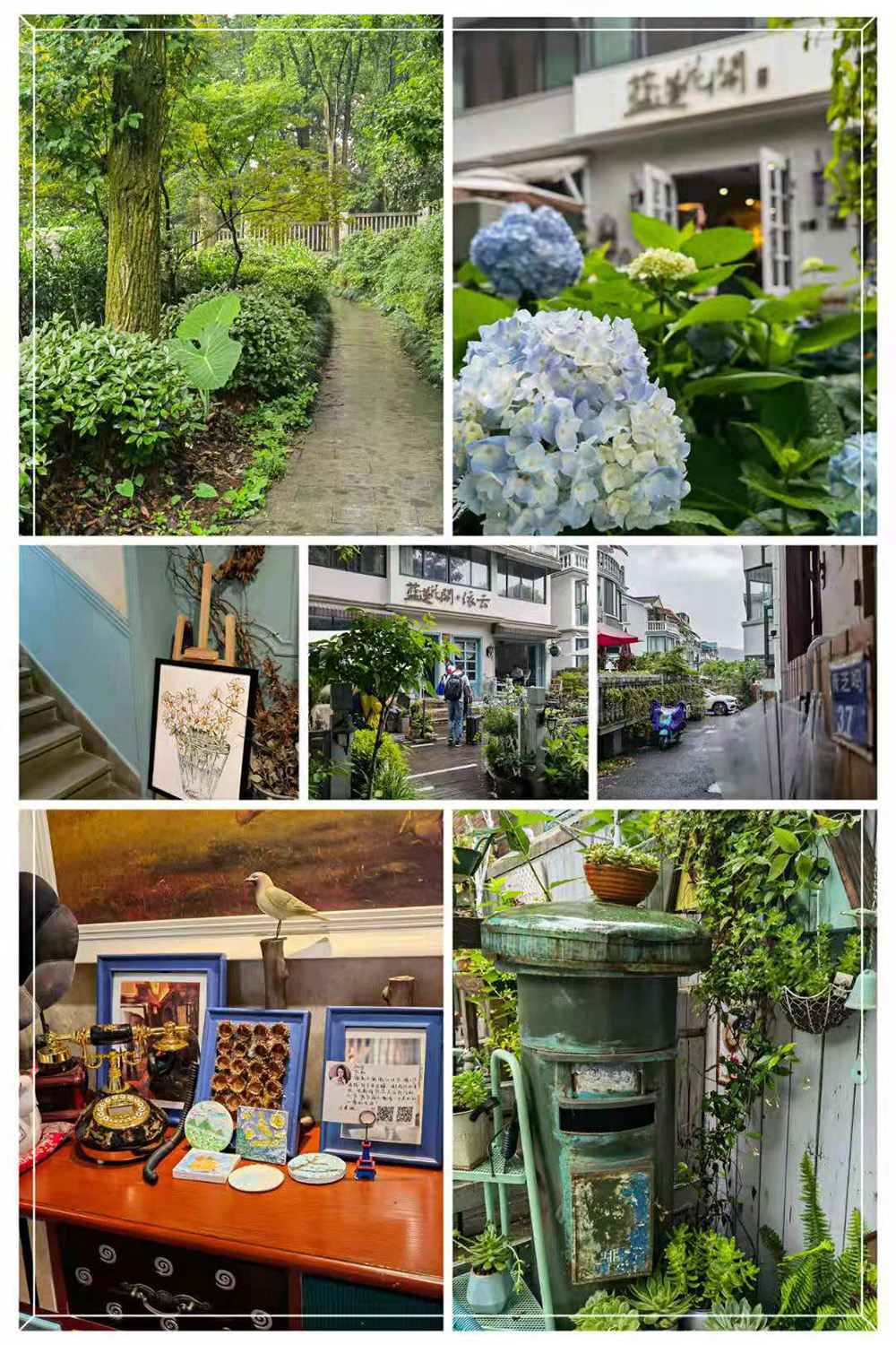 1621405361752200.jpg mmexport1620965435881.jpg