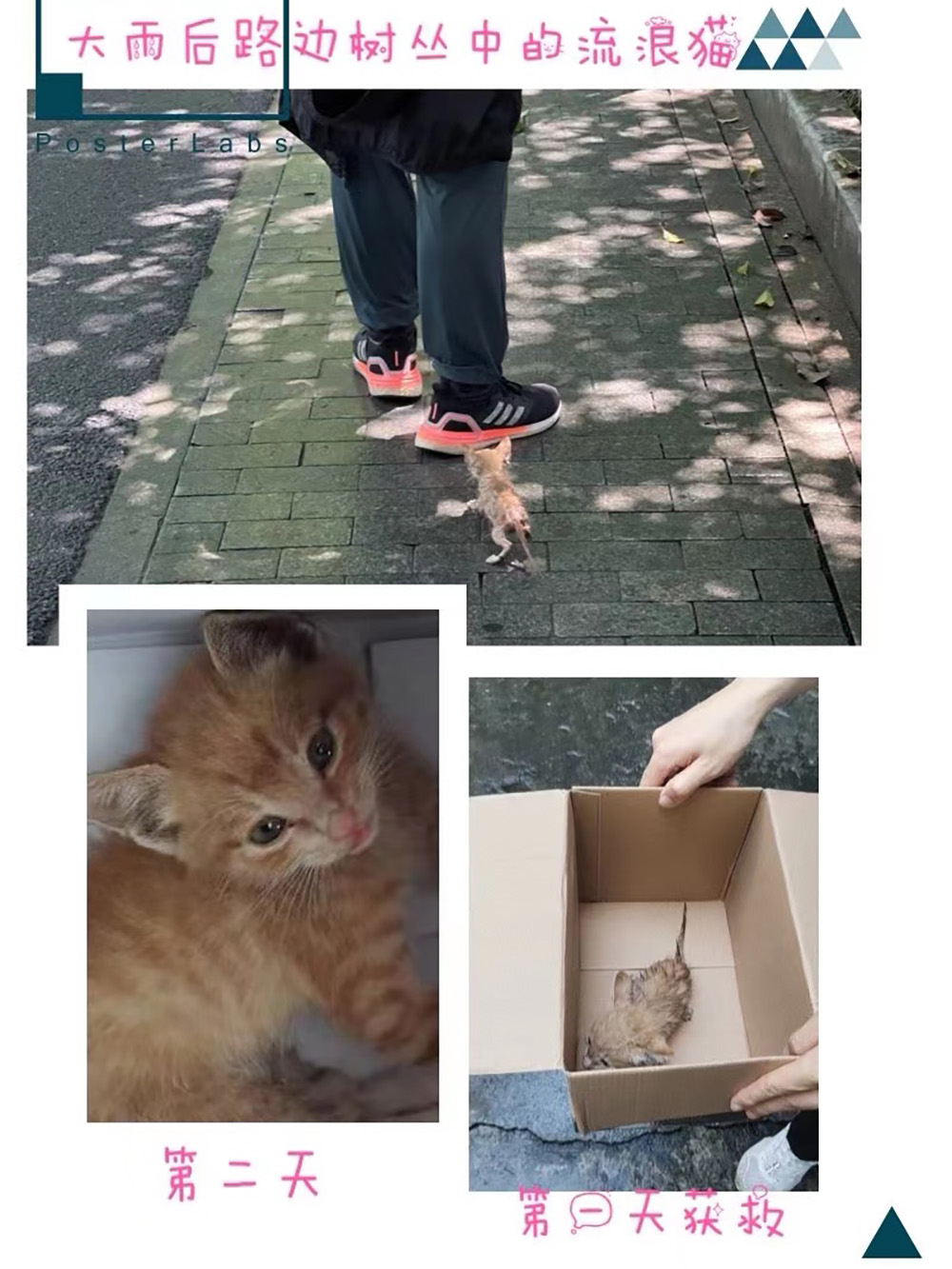 1621406888244752.jpg mmexport1621406291390_edit_921154192505275.jpg