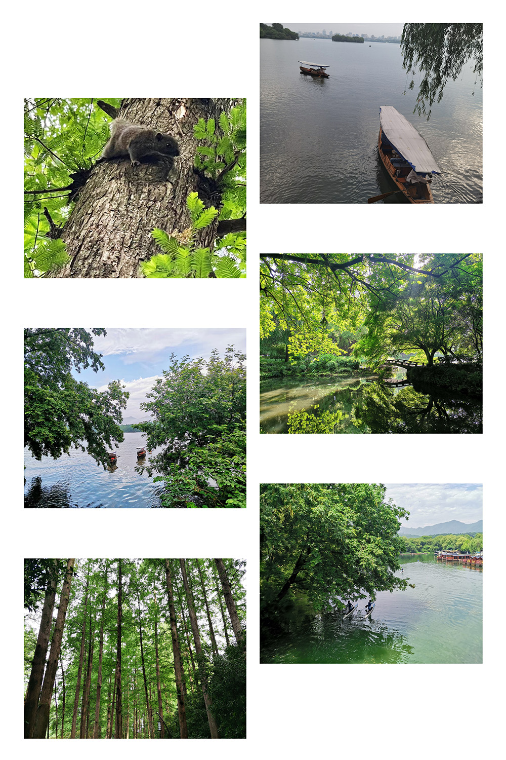 1621412965370514.jpg pt2021_05_15_16_52_24.jpg